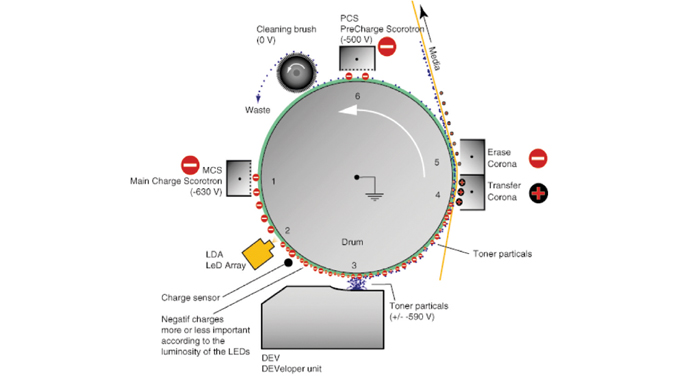 Figure 3.3 - The diagram shows the imaging process that takes place on each of the five print stations in a Xeikon 3000 series press