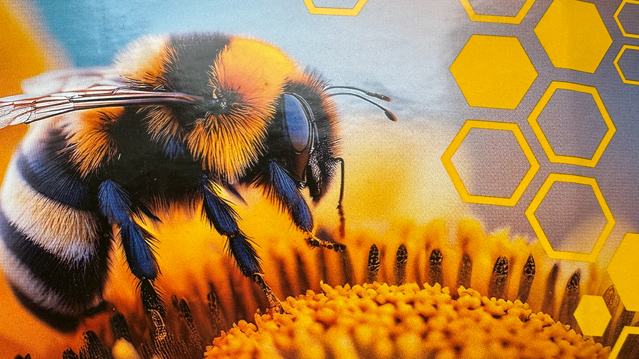 Demonstration job printed on a Gallus Labelmaster 440 replacing multiple spot colors with three colors from an ECG ink set