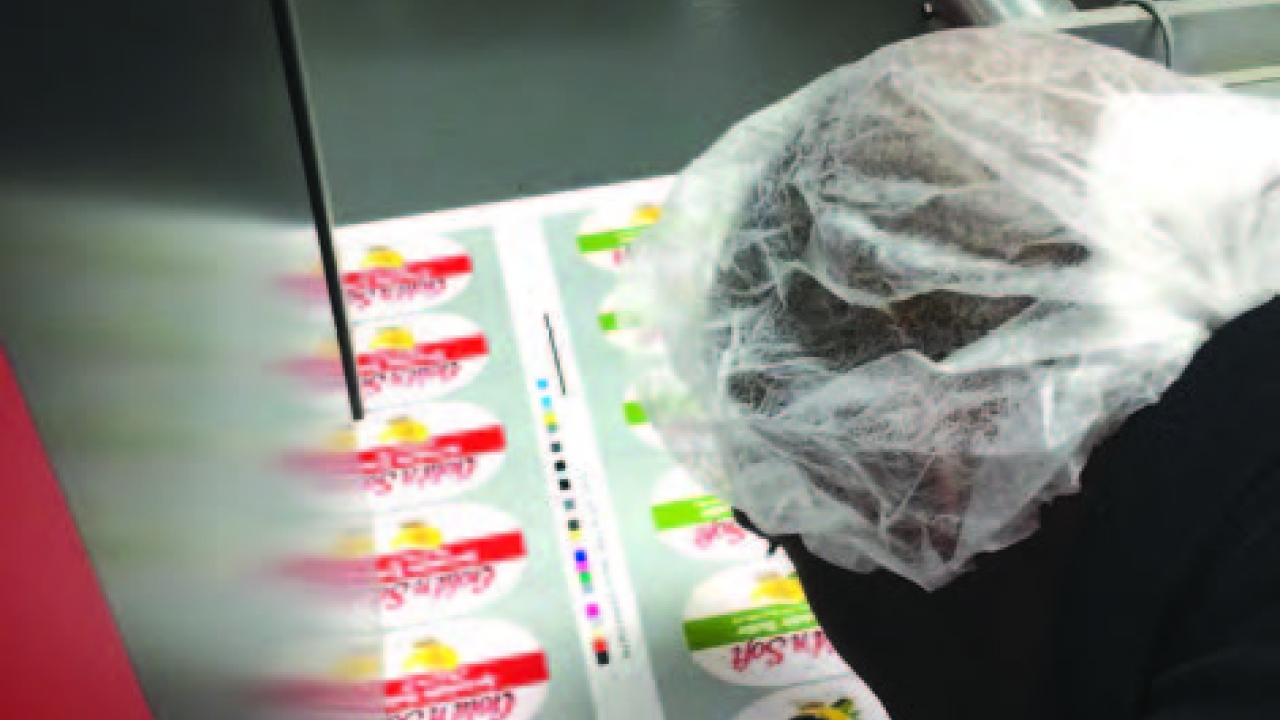 IML Labels for North America