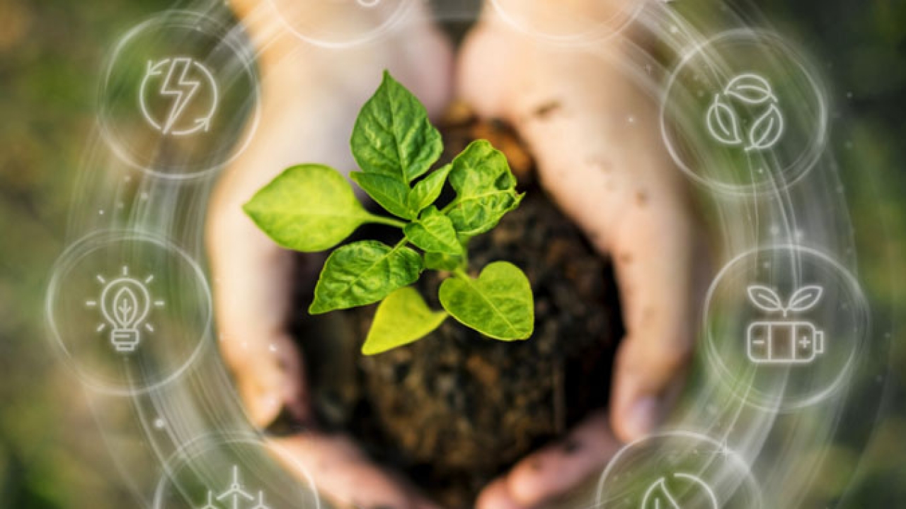 Esko virtual series on packaging sustainability 