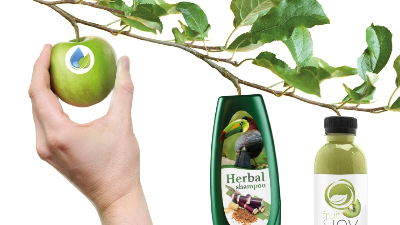Environment and sustainability