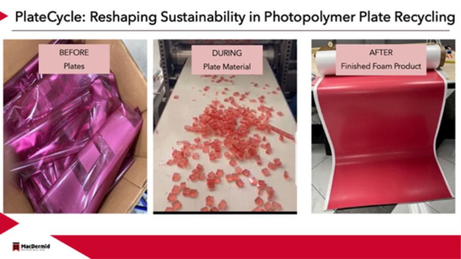Creating solutions that flex: sustainability and the future of 