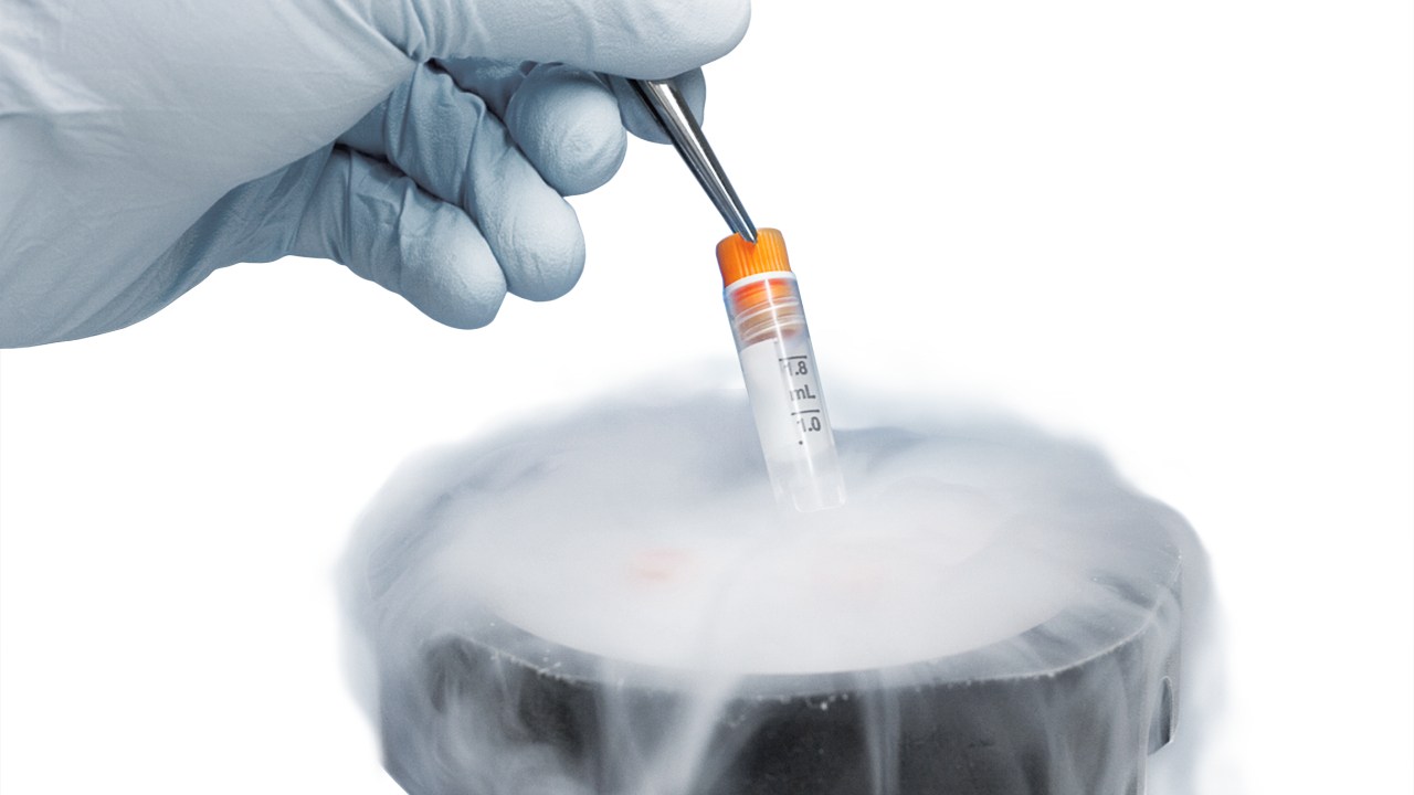 Avery Dennison sample