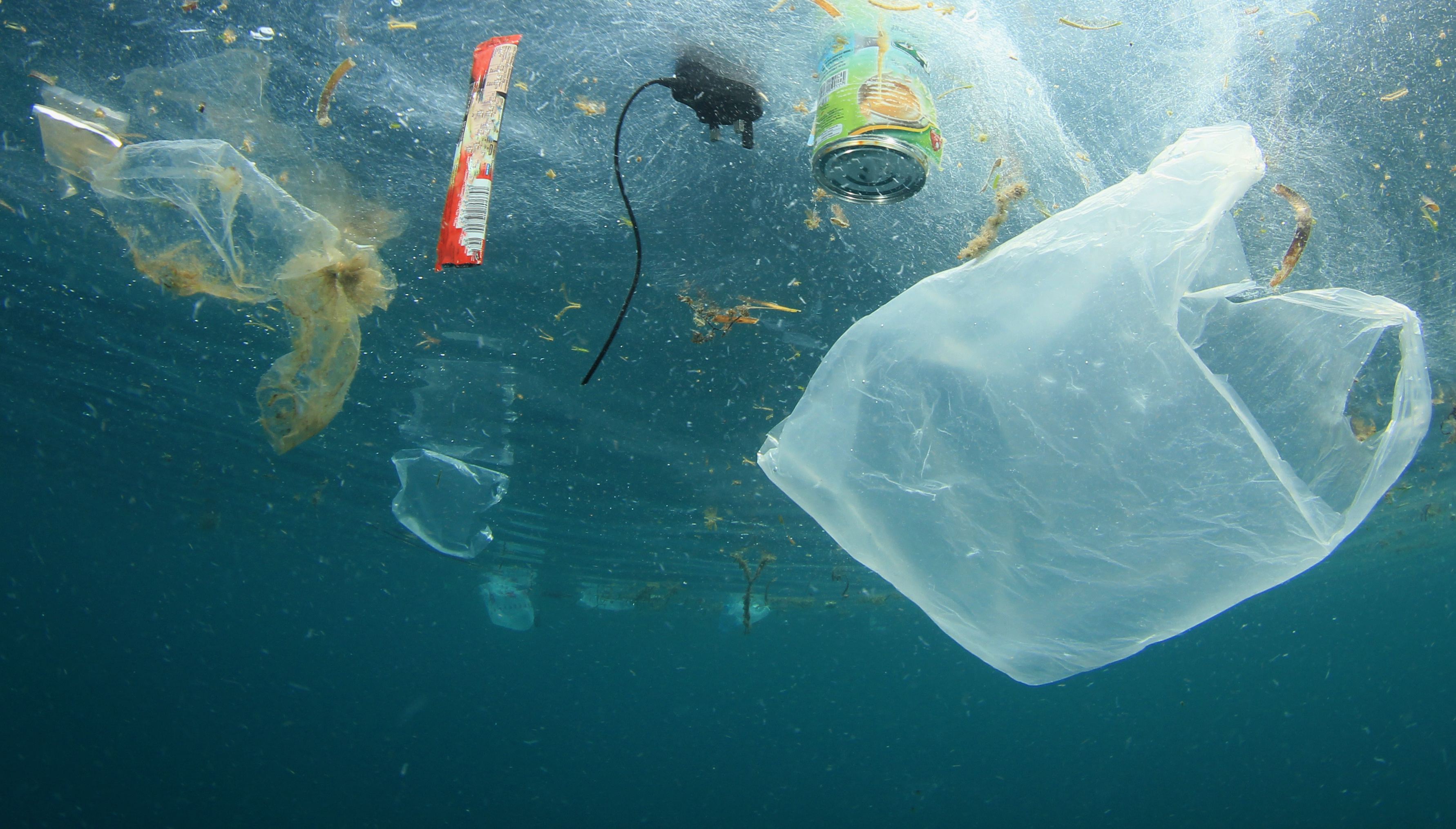 Ocean plastics