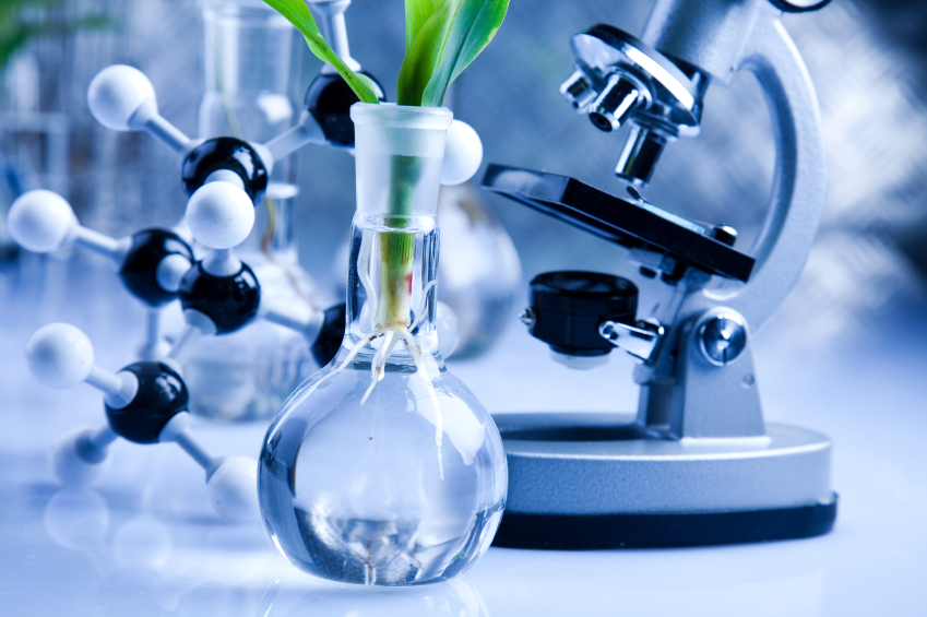 Lignin research results show potential in bioplastics Labels & Labeling