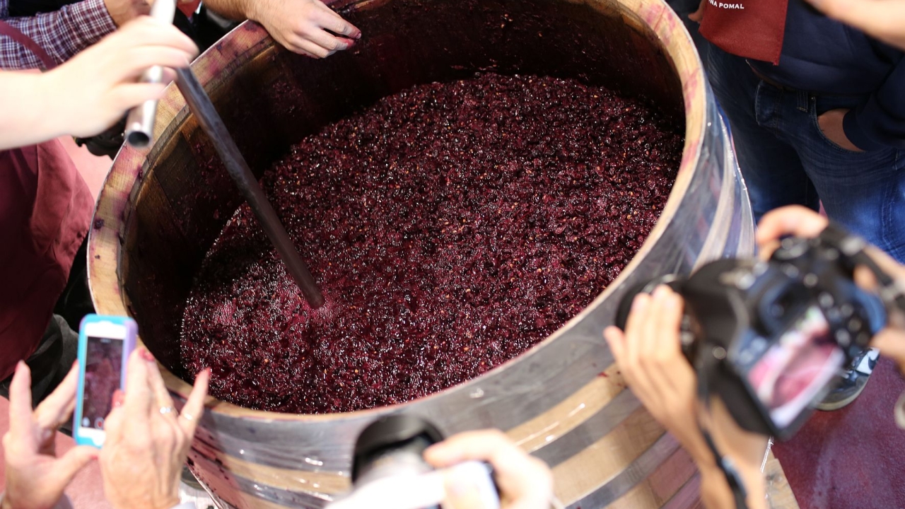 Pixartprinting is partnering with the Digital Wine Communications Conference in a move that will allow it to better understand the needs and wishes of the wine industry. Pixartprinting is partnering with the Digital Wine Communications Conference in a move that will allow it to better understand the needs and wishes of the wine industry.