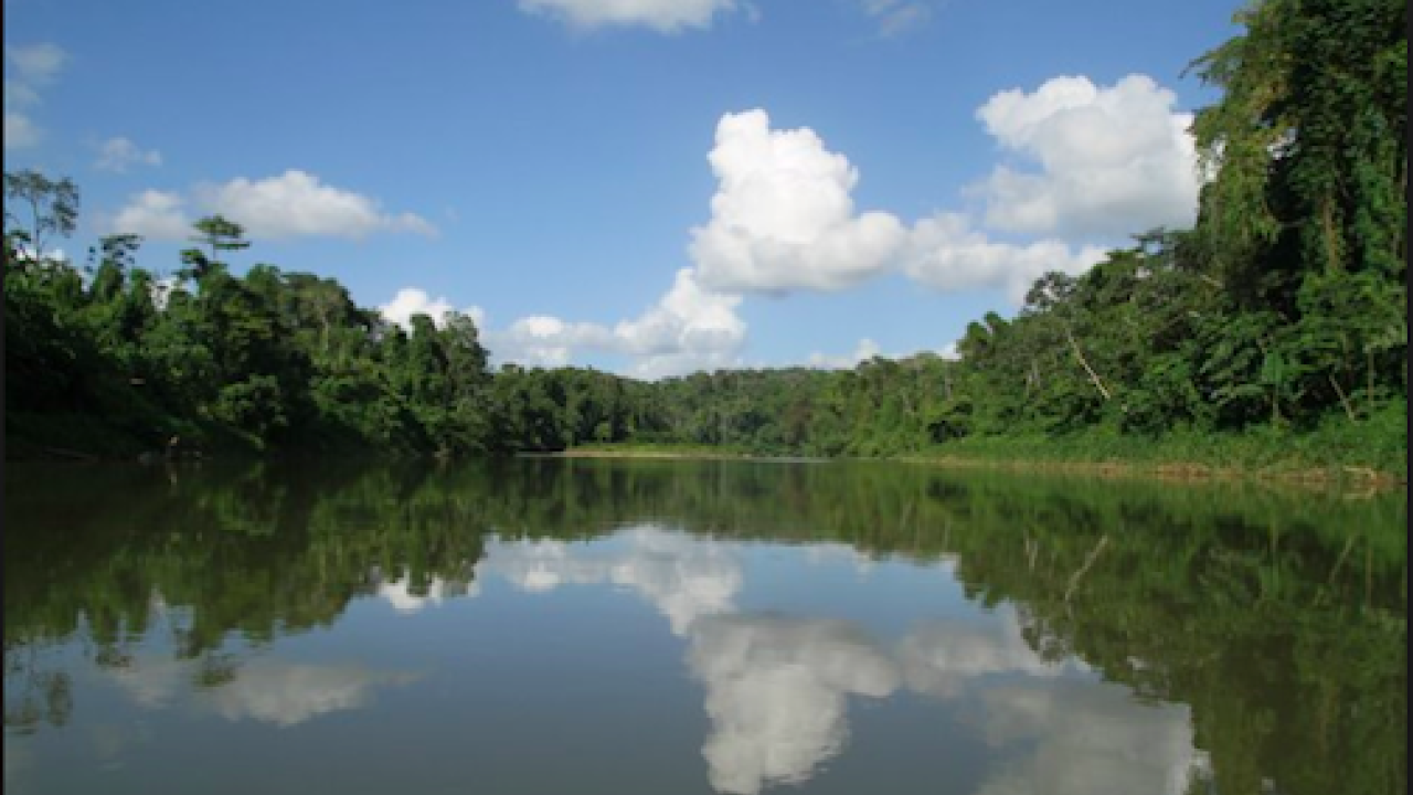 Avery Dennison Rio Platano Biosphere Reserve Honduras
