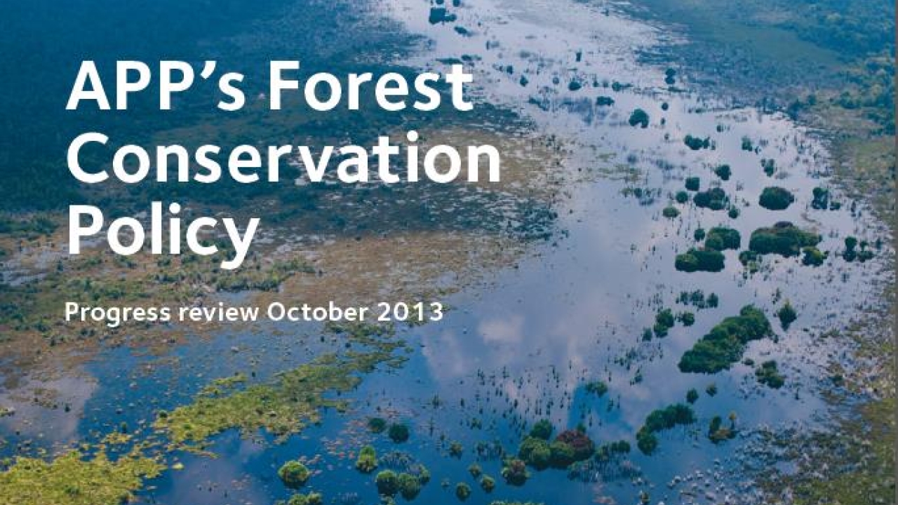 Greenpeace’s APP’s Forest Conservation Policy: Progress Review report takes an in-depth look at all aspects of how the FCP is being implemented