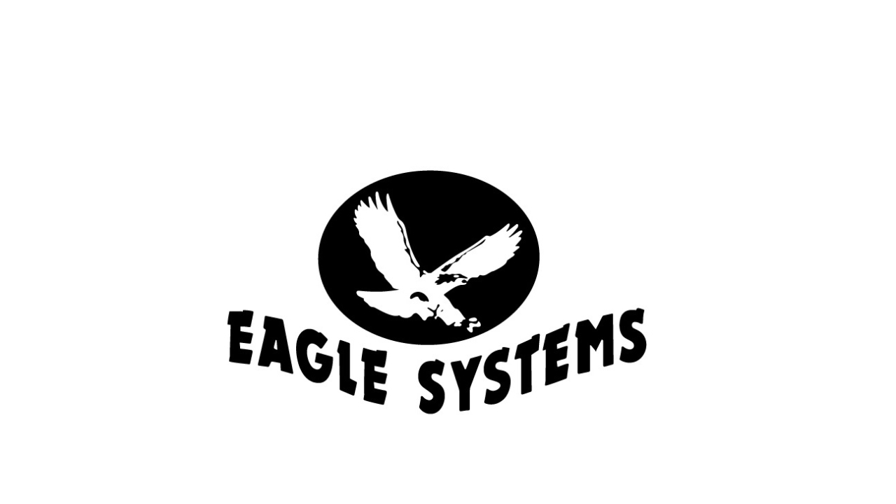 Central Europe location addresses local sales and marketing needs for Eagle Systems and its customers