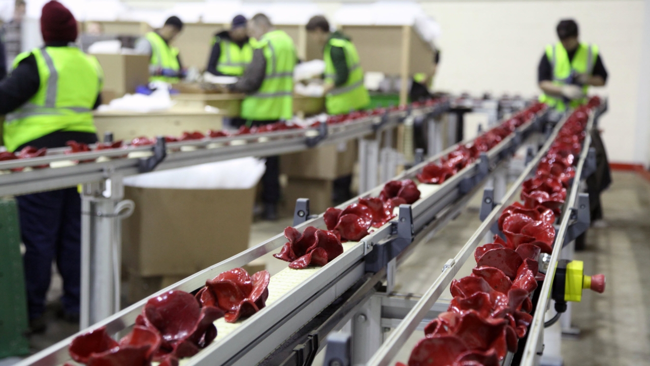 Charapak is providing the complete packaging and fulfilment service for the distribution of the world-famous ceramic poppies, which were displayed at the Tower of London to commemorate the centenary of the outbreak of the First World War