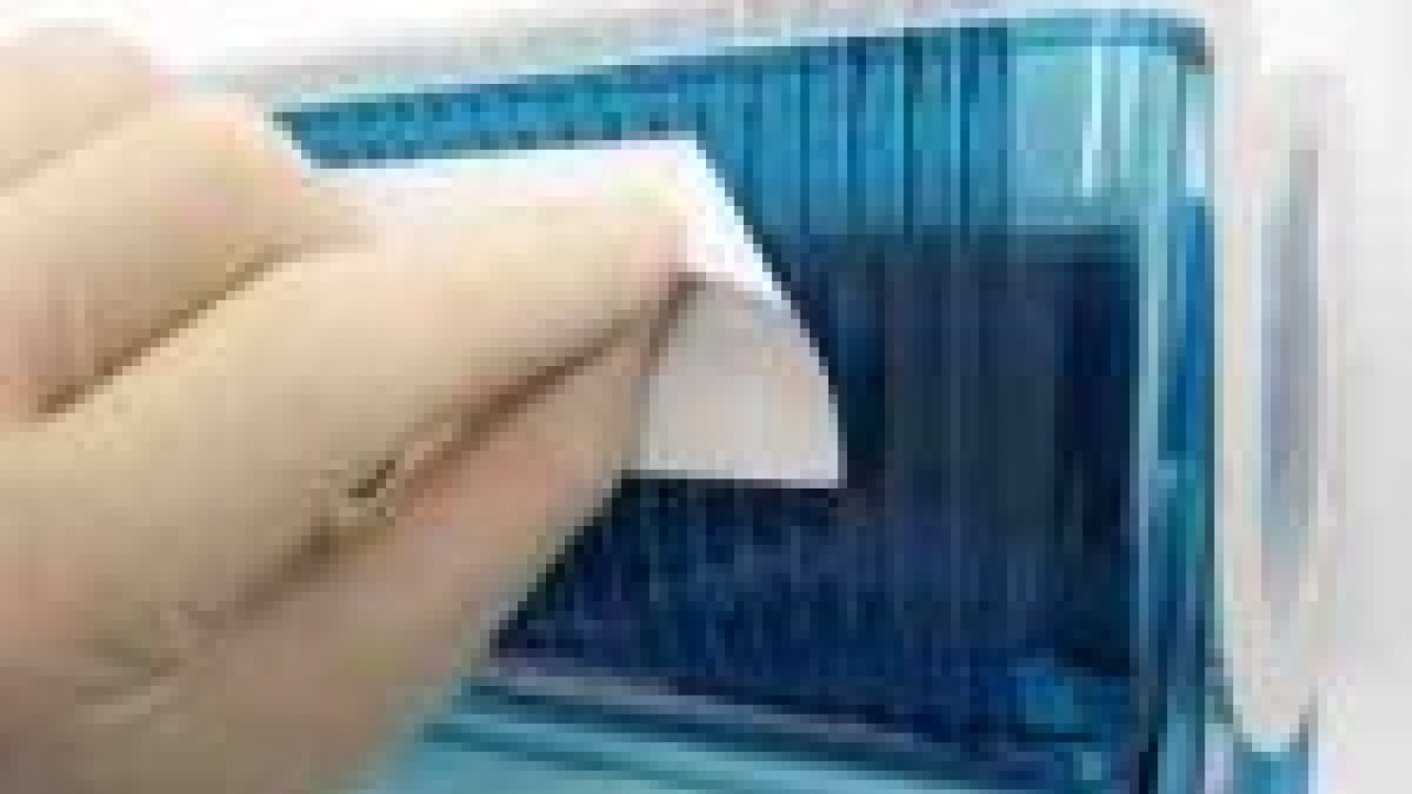 LGInternational unveils EZ-Peel Cleanroom labels LGInternational unveils EZ-Peel Cleanroom labels