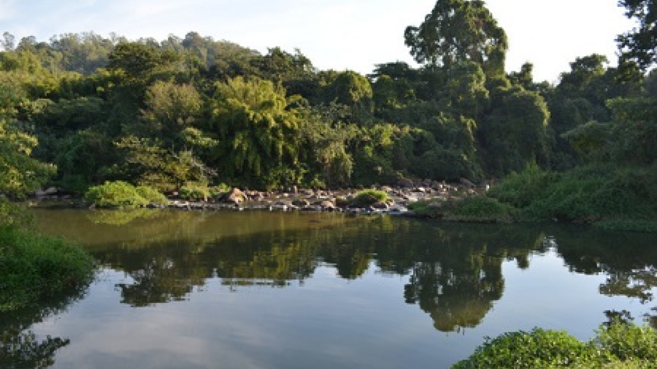 UPM Raflatac partners on reforestation project of Jaguari River in Brazil