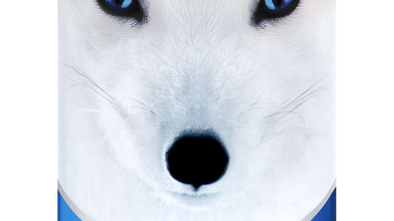 API's 1000 TA foil produces a glow-in-the-dark effect, causing the eyes of the snow fox to illuminate in low-lit areas