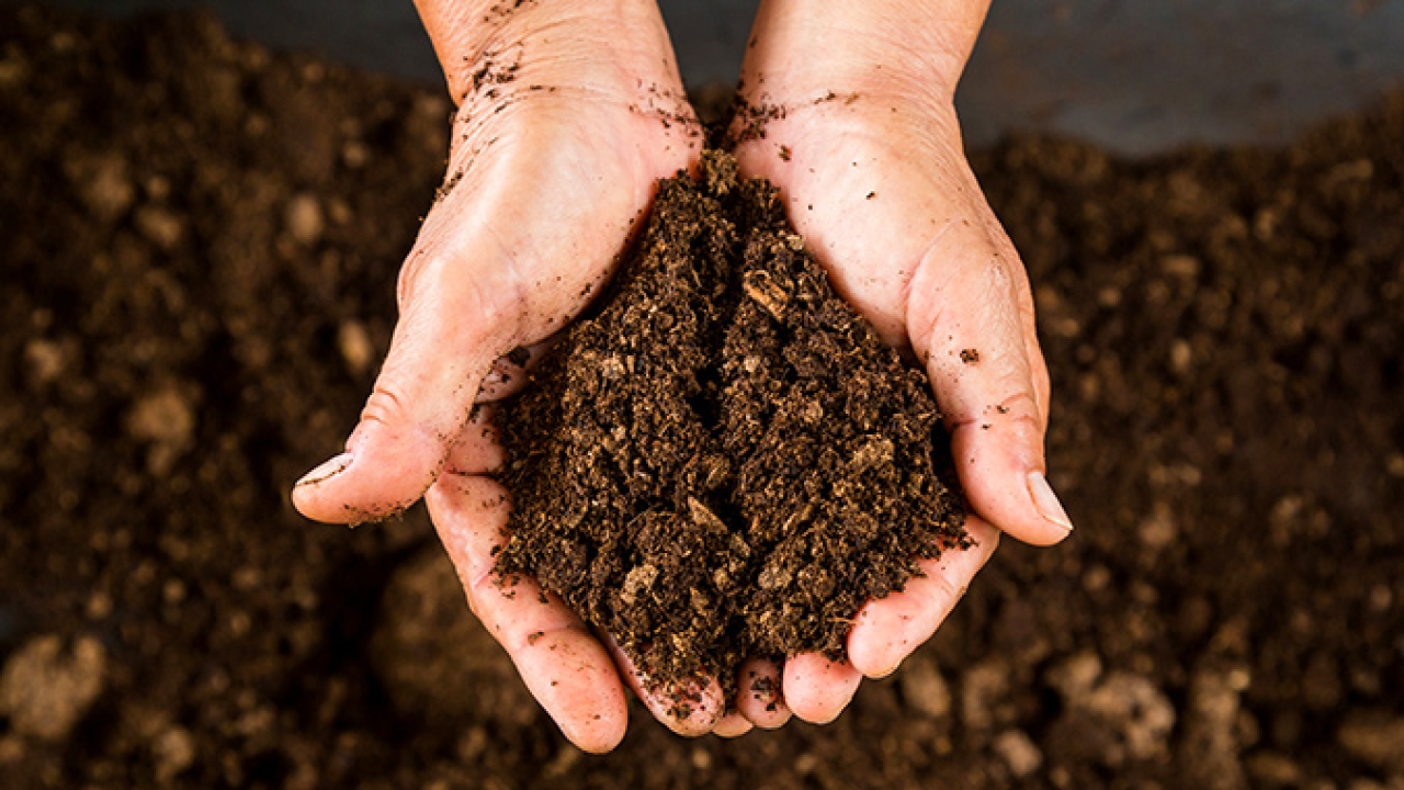 HermaExtracoat and HermaTherm Bio label stocks awarded with Keimlink compostability certification