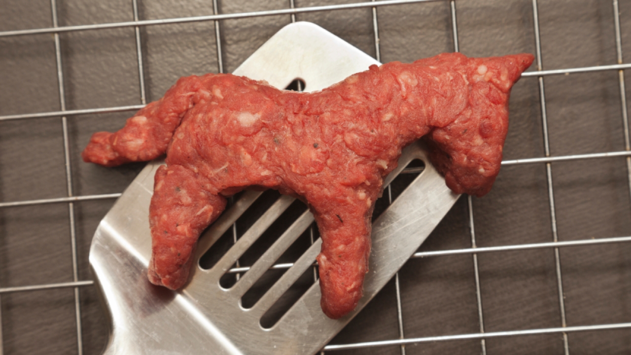 Food scandal demands label solutions Food scandal demands label solutions
