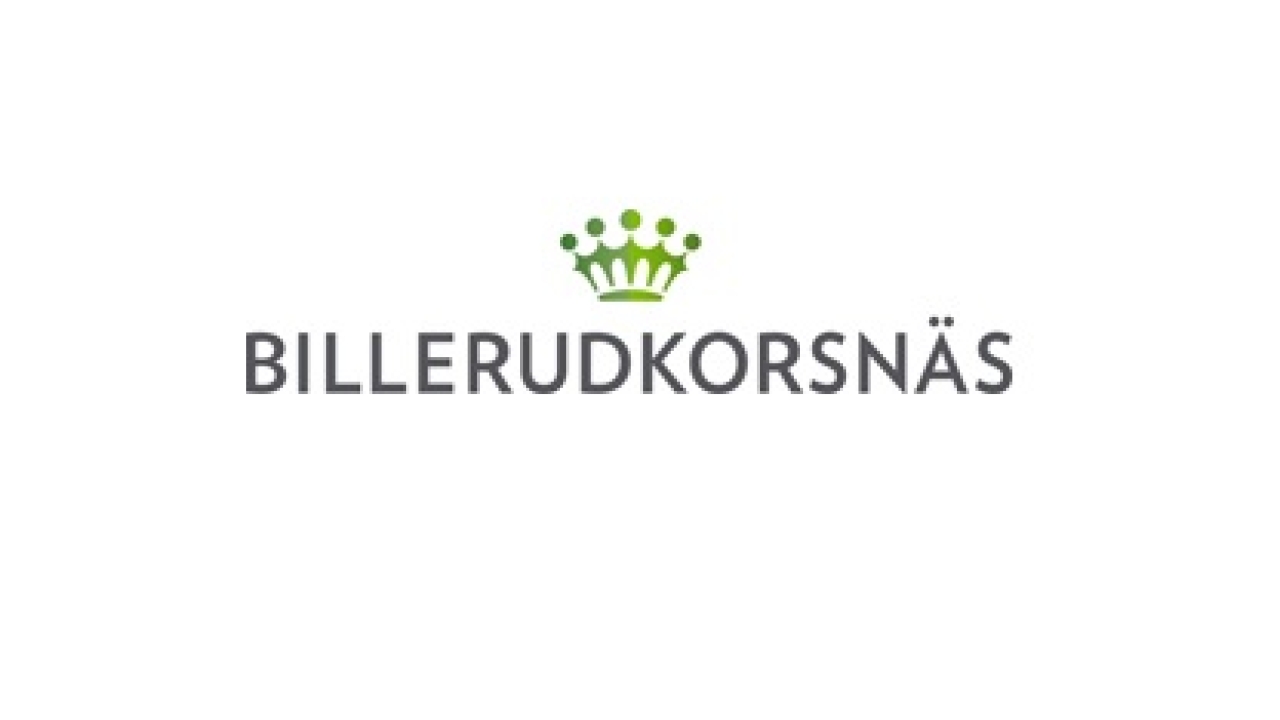 BillerudKorsnäs has a strategy in which a portion of growth will be generated through new sales and technologies further along the packaging value chain