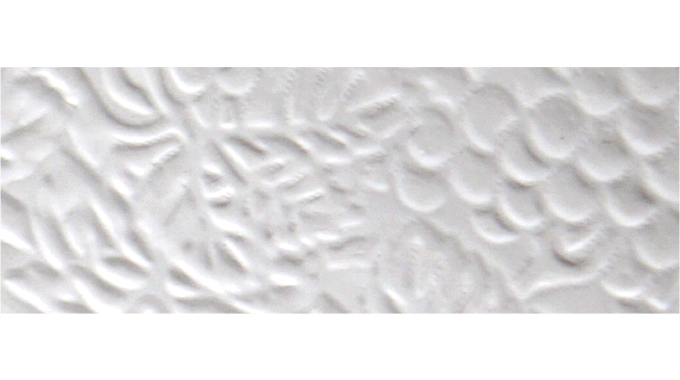 Figure 5.2 - An example of blind embossing