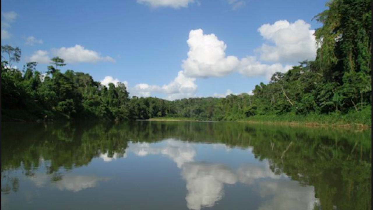 Avery Dennison establishes grant to support Rainforest Alliance and sustainable forestry practices in Rio Platano Biosphere Reserve Honduras Avery Dennison Rio Platano Biosphere Reserve Honduras