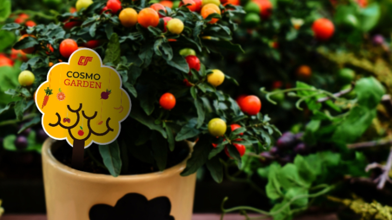 Cosmo Films launches non-tearable 100 percent Opaque Synthetic Paper (OSP)
