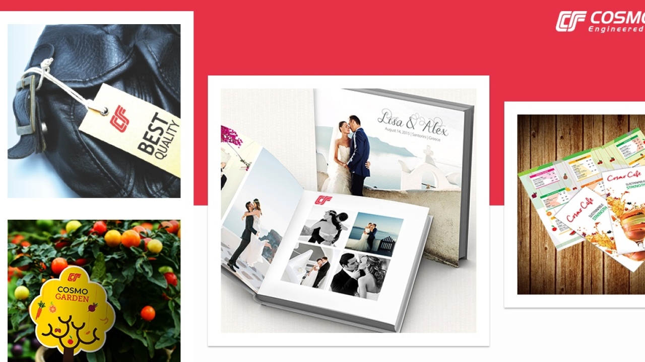 Indian speciality film manufacturer, Cosmo Films, has added two new products to its synthetic paper portfolio - high tear resistant synthetic paper and digitally printable synthetic paper.