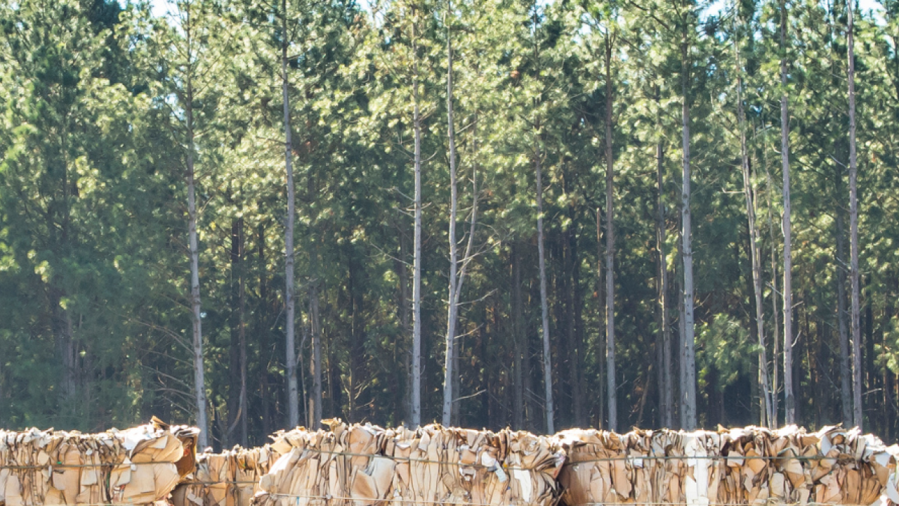 Labelnet launches sustainable label range