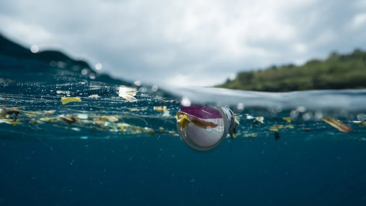 Mondi has joined over 80 businesses and organizations, which announced a common vision of a circular economy in which plastic never becomes waste or pollution Mondi has joined over 80 businesses and organizations, which announced a common vision of a circular economy in which plastic never becomes waste or pollution