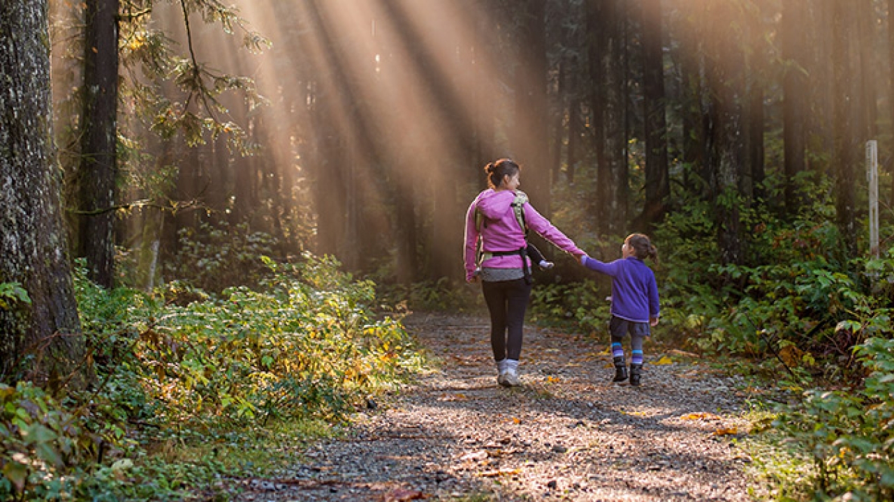 UPM Raflatac claims that its RAFNXT+ has become the world’s first carbon-neutral label material certified as a CarbonNeutral product by Natural Capital Partners