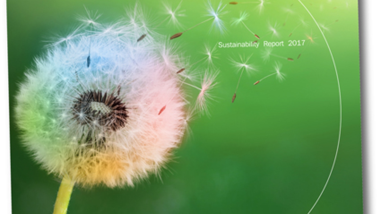 Flint Group has published its 2017 Sustainability Report Flint Group has published its 2017 Sustainability Report