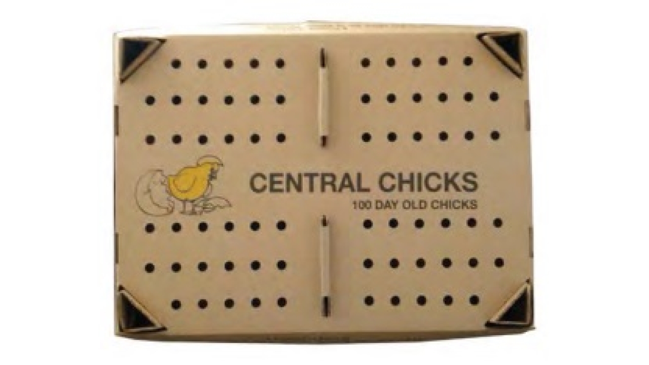 The Chick Boxes entry, as entered by TLL Printing & Packaging, has been developed to help small poultry farm owners whose  small chicks were dying in transit