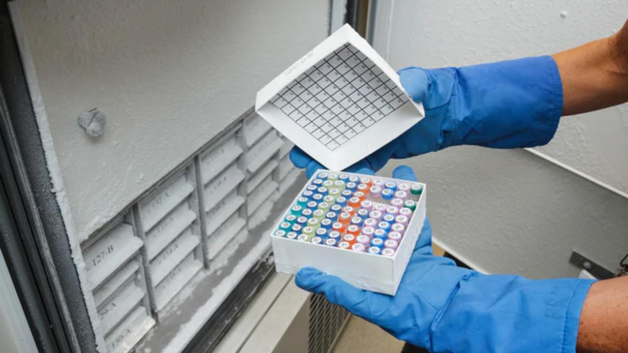 FreezerBondz ultra-thin cryogenic polyester labels from Brady Corporation