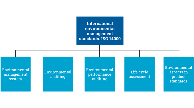 Figure 1.4 - The ISO 14000 family of standards for environmental management