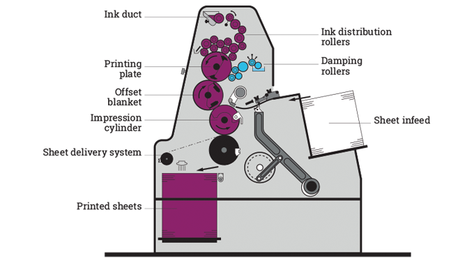 Figure 2.3 - Diagram of sheet-fed print unit