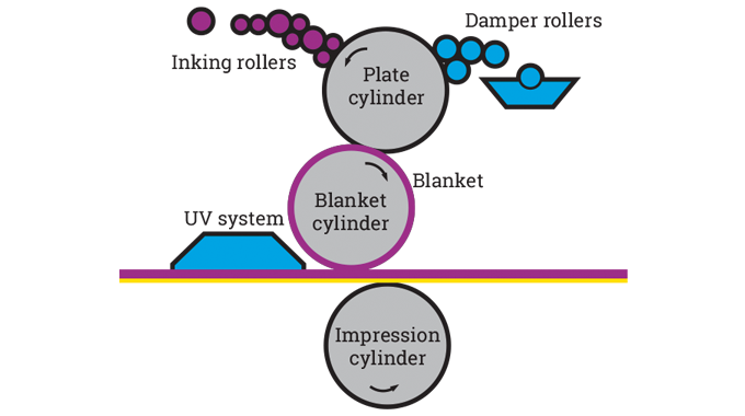 Offset lithographic shop