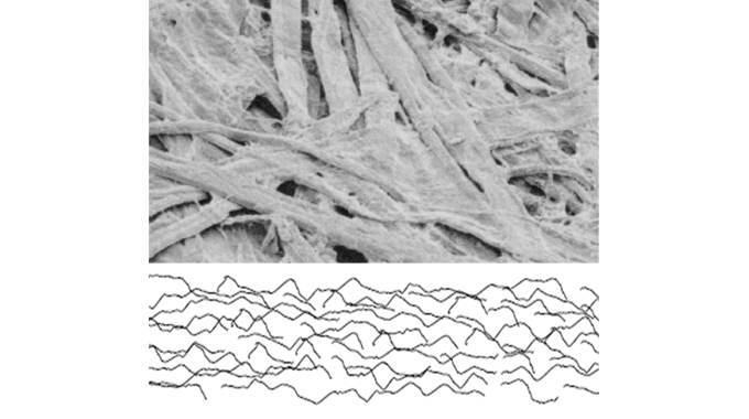 Figure 5.1 Surface of an uncoated paper