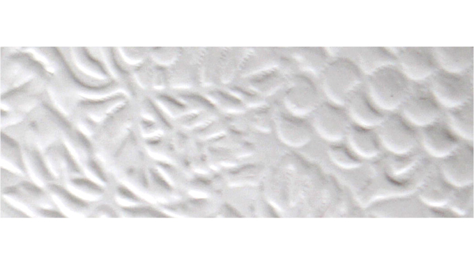 Figure 5.2 - An example of blind embossing