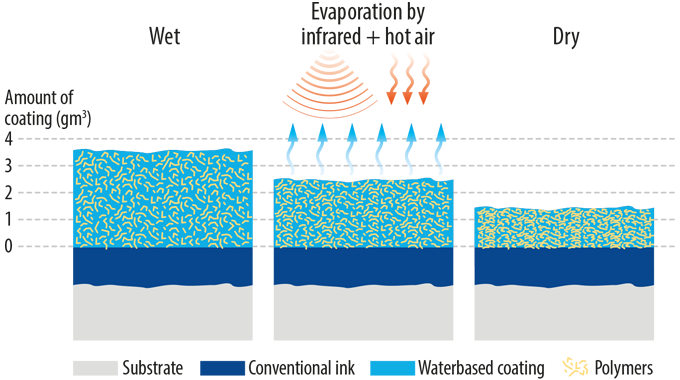 Figure 6.4 Drying of water-based coatings