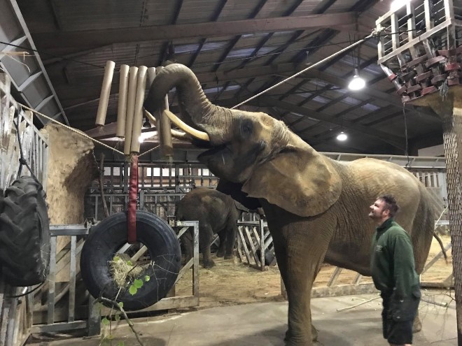 UK printer donates to animal environmental enrichment program at Colchester Zoo | Labels & Labeling