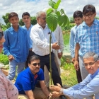 Ramakrishna Karanth, CEO, Siegwerk India plants trees at the pond site