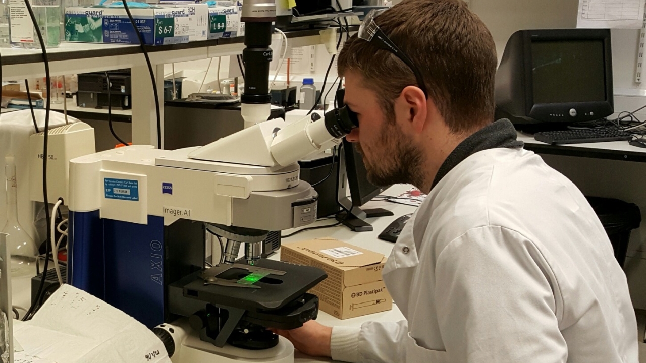 The ‘Infinity’ research and development program will drive forward the continued search for the best and most diverse portfolio of color-change pigments