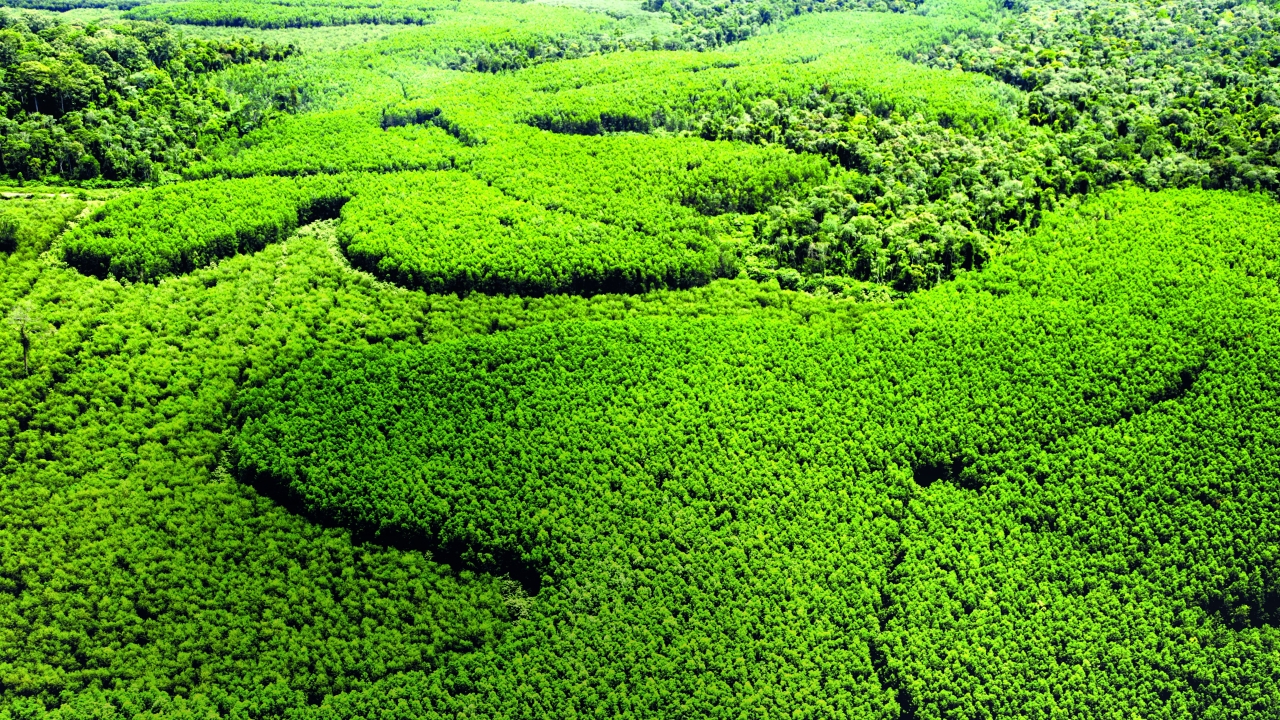 APP drives multi-stakeholder approach to responsible landscape management APP drives multi-stakeholder approach to responsible landscape management