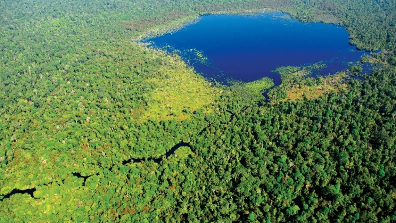 Giam Siak Kecil – Bukit Batu – Sumatera