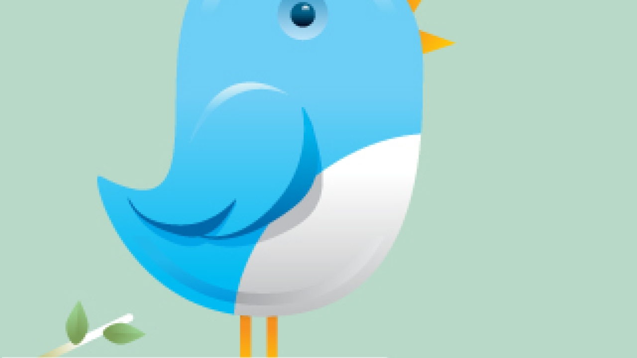 What's the Tweet about Twitter? What's the Tweet about Twitter?