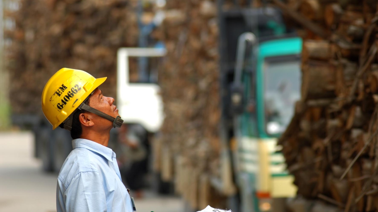 In February 2013, APP introduced its Forest Conservation Policy
