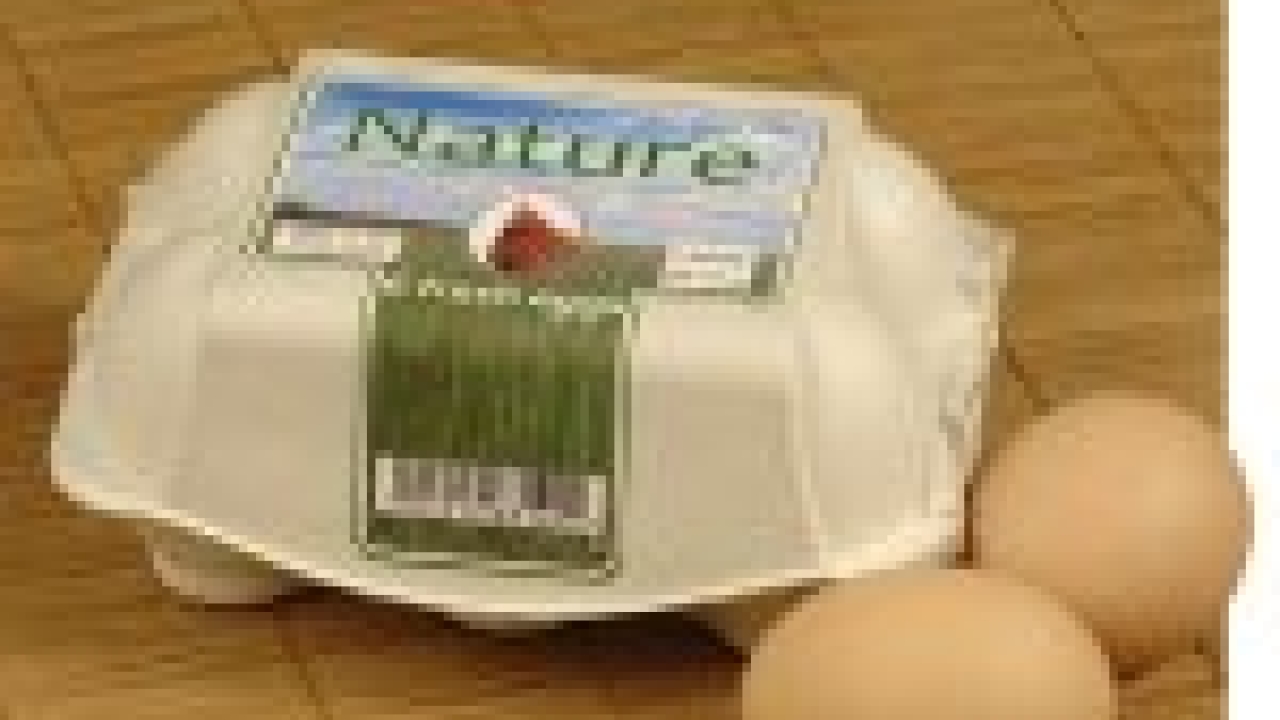Mactac unveils papers made from recycled fibers
