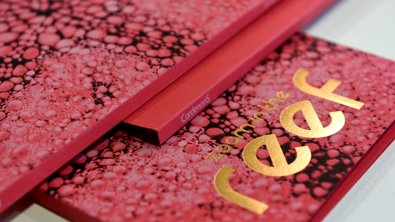 Reef is a fine paper product featuring textures such as fine sands, live rock, corals and colorful fish scales Reef is a fine paper product featuring textures such as fine sands, live rock, corals and colorful fish scales