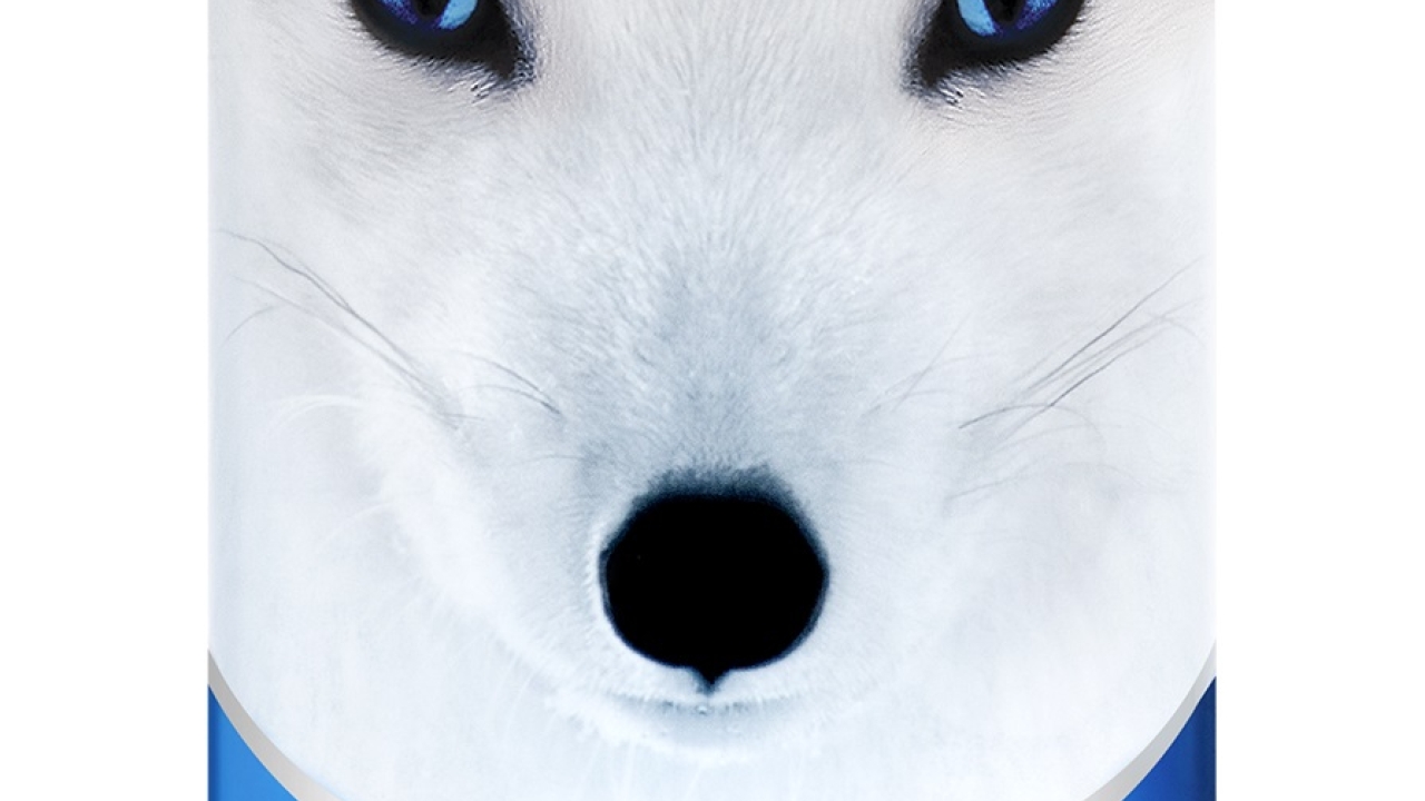 API's 1000 TA foil produces a glow-in-the-dark effect, causing the eyes of the snow fox to illuminate in low-lit areas API's 1000 TA foil produces a glow-in-the-dark effect, causing the eyes of the snow fox to illuminate in low-lit areas