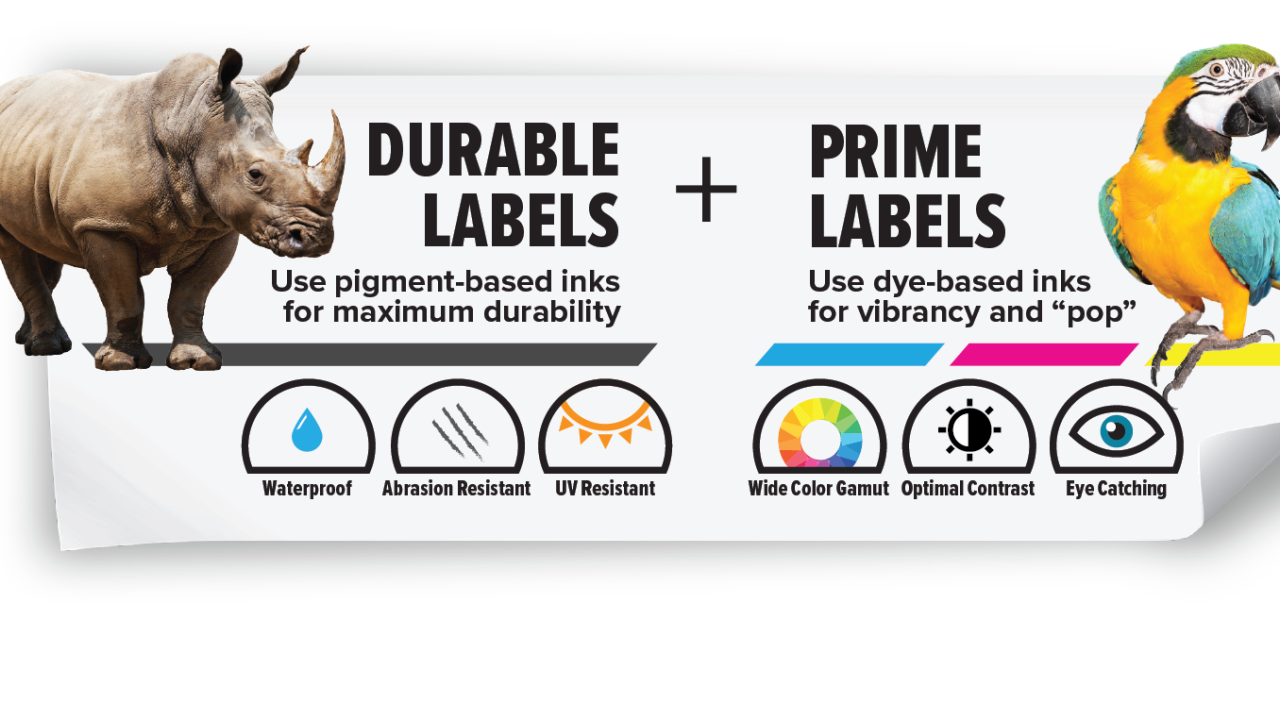 An optional rewinder is available for companies experiencing higher usage and longer runs, or for those who need rewound labels for use with a label applicator or dispenser