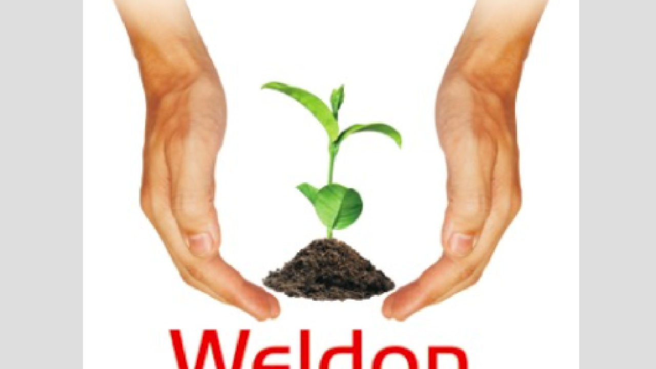 Weldon to represent Jindali in India 
