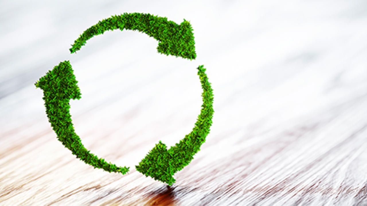 Siegwerk launches circular economy website