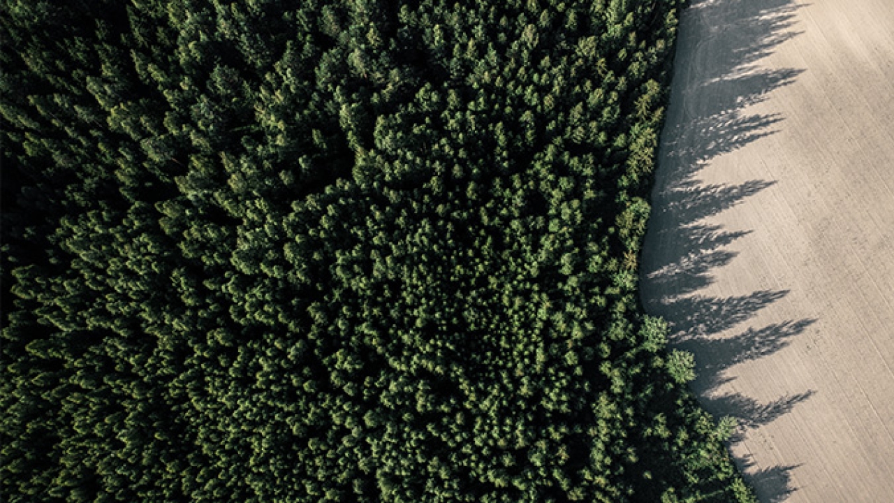 The carbon footprint of UPM Raflatac’s Linerless products has been certified by the Carbon Trust, a global climate consultancy driven by the mission to accelerate the move to a decarbonized future
